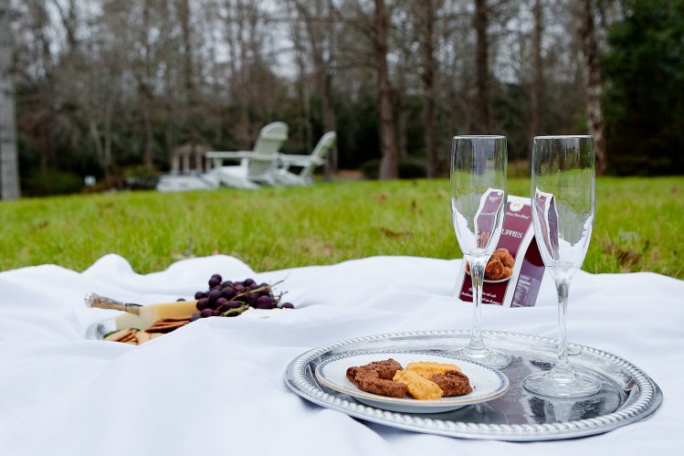 Picnic on Grounds