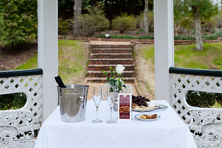 Picnic at Gazebo