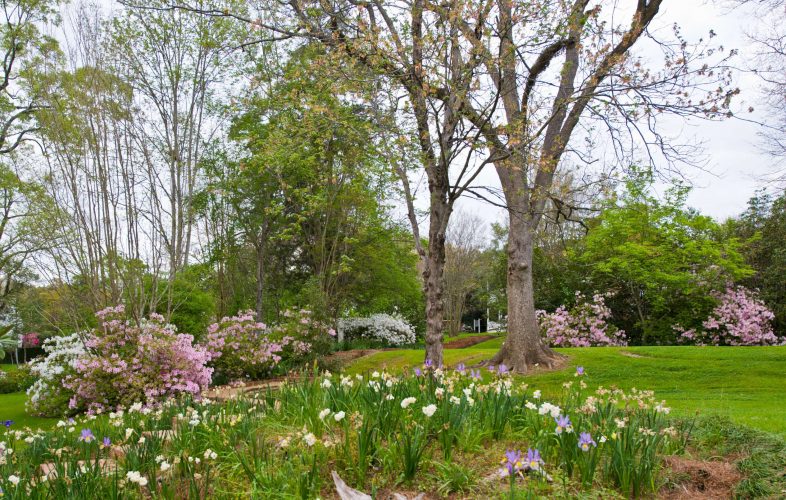 Garden Pathways