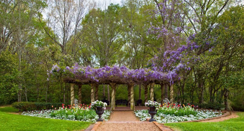 Garden pathway leading to Pergola