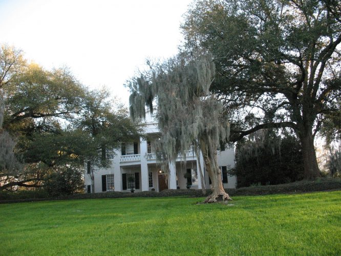 Front Lawn and Main House