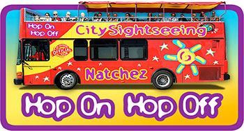 Hop On Hop Off Tours