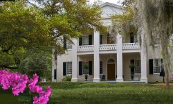 The Mansion Photo Gallery