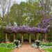 Garden pathway leading to Pergola